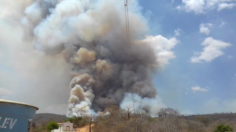 Bombeiros lutam para controlar incêndio que atinge três municípios do Vale do Piancó